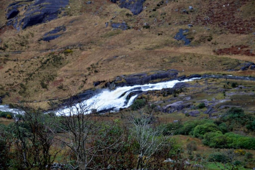 Secluded Cottage Nestled In The Beara Peninsula Killarney Exterior foto
