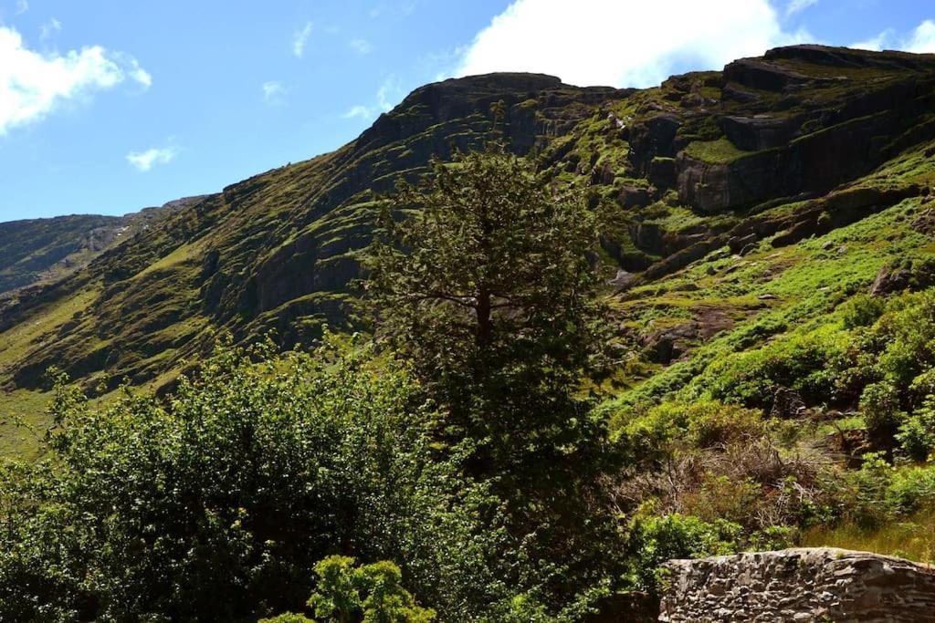 Secluded Cottage Nestled In The Beara Peninsula Killarney Exterior foto